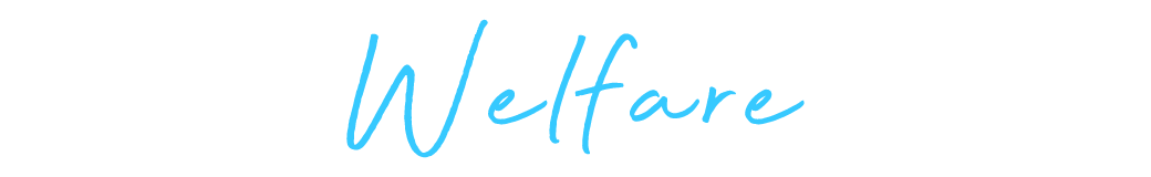 Welfare